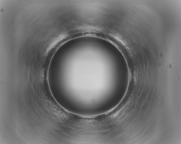 X0000089681309200706211214