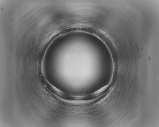 X0000089681313200706211215