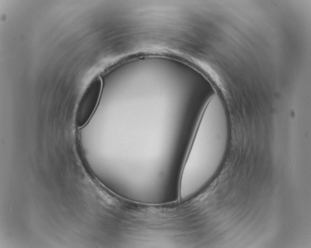 X0000089681327200706211215