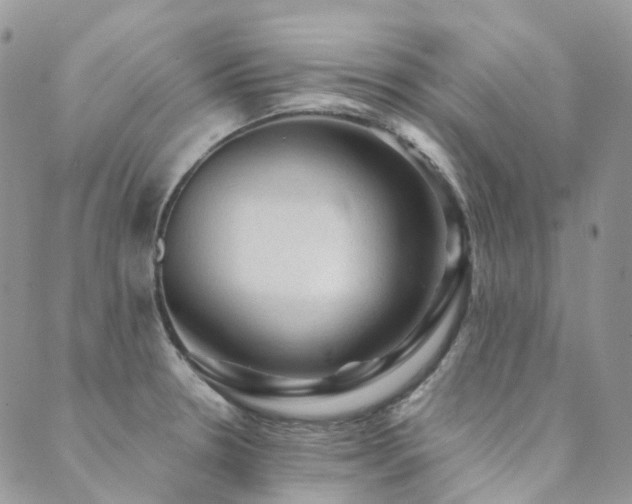 X0000089681330200706211215