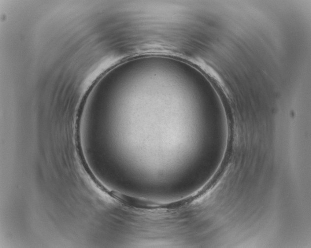 X0000089681333200706211215