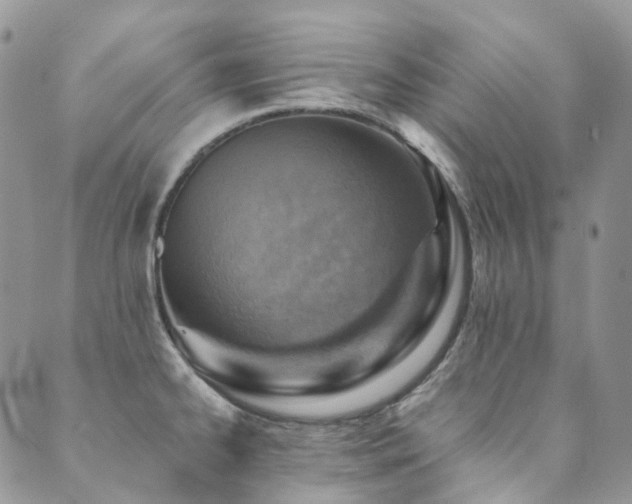 X0000089681334200706211215
