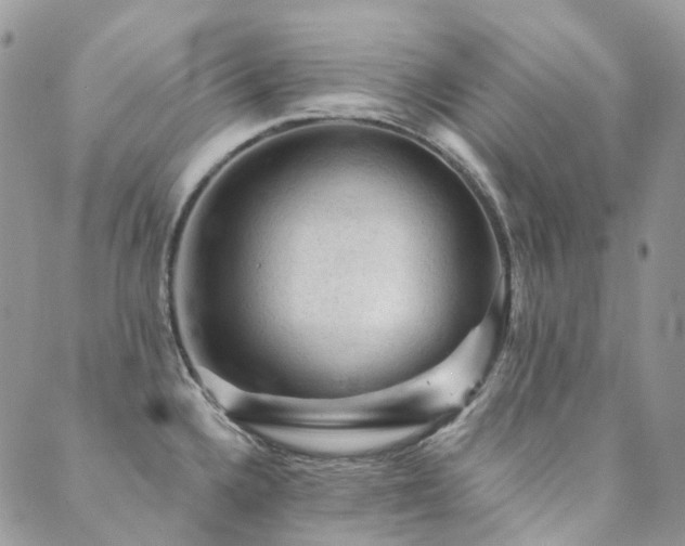 X0000089681336200706211215