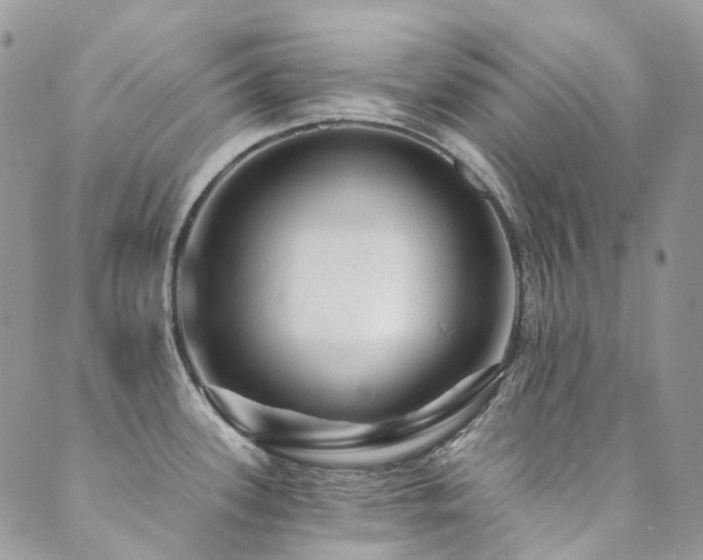X0000089681339200706211215