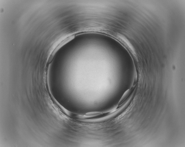 X0000089681340200706211215