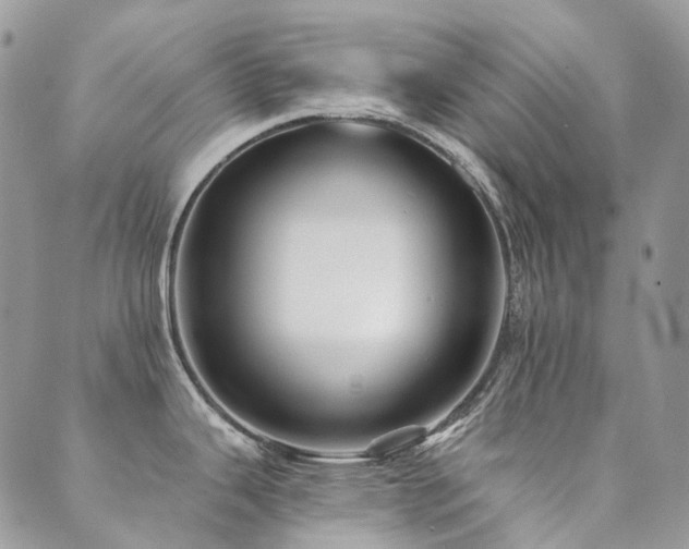 X0000089681343200706211215