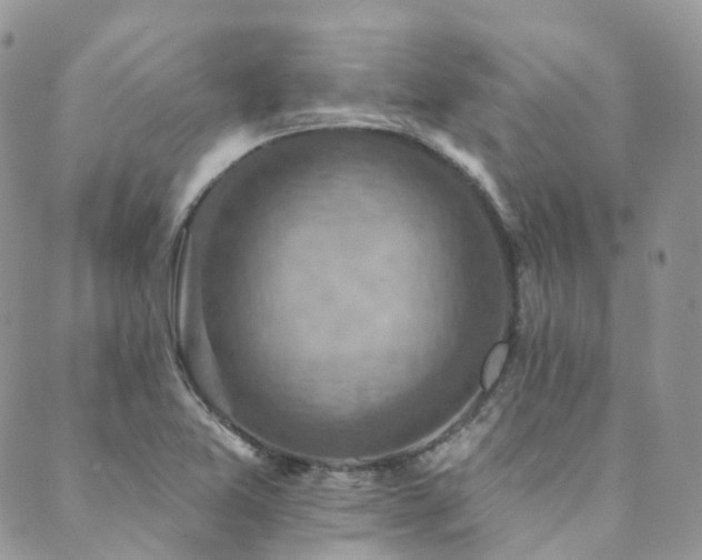 X0000089681365200706211214
