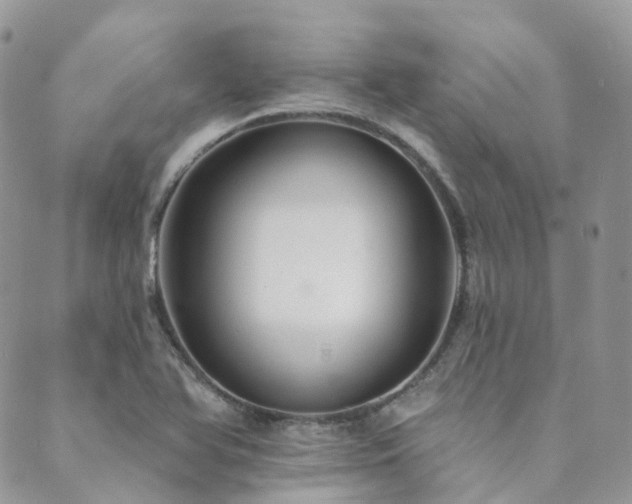 X0000089681366200706211214