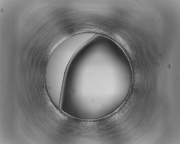 X0000089681377200706211214