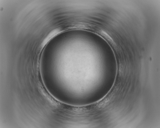 X0000089681378200706211214
