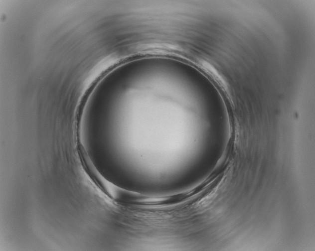 X0000089681384200706211214