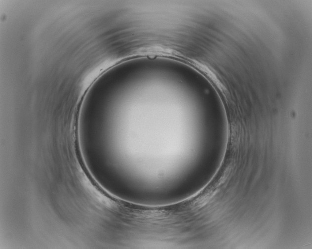 X0000089681387200706211214
