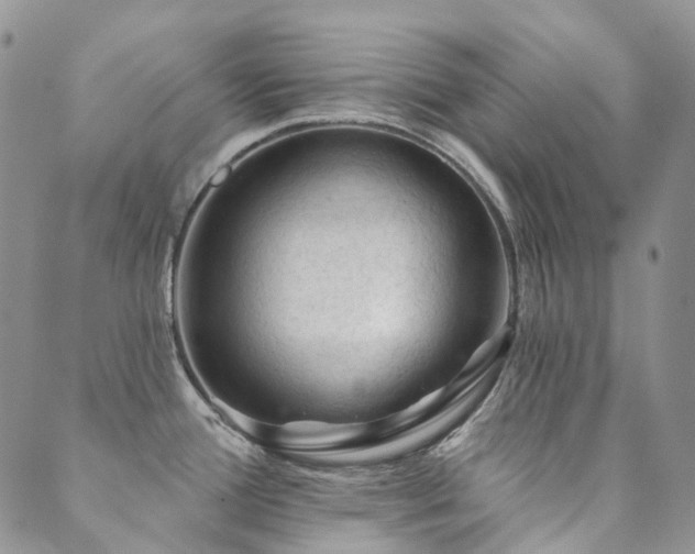 X0000089681388200706211214