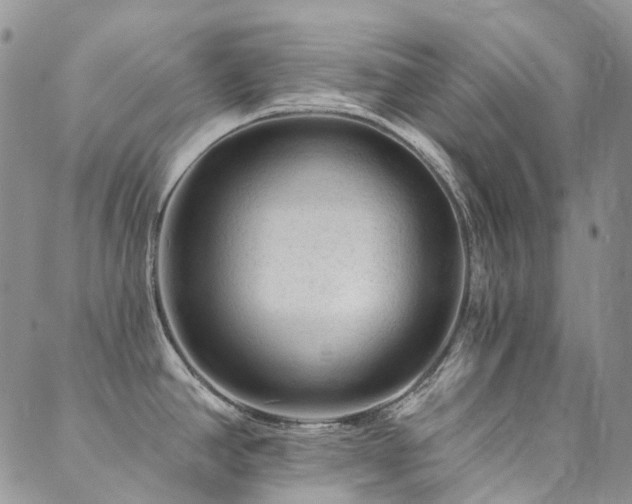 X0000089681390200706211213