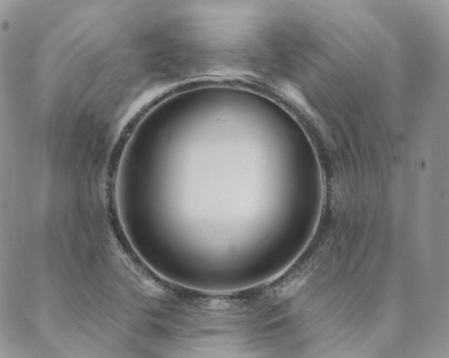 X0000089681412200706211213