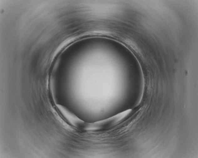 X0000089681420200706211213