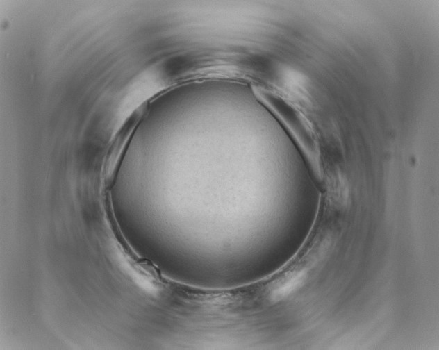 X0000089681426200706211213