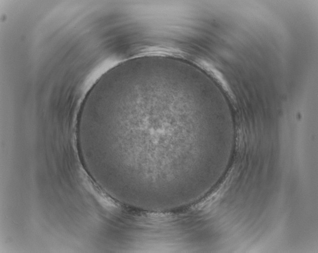 X0000089681427200706211213