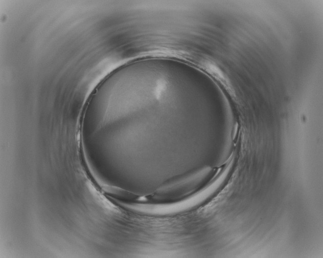 X0000089681428200706211213