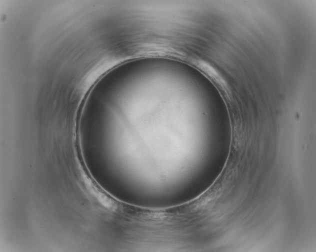 X0000089681431200706211213