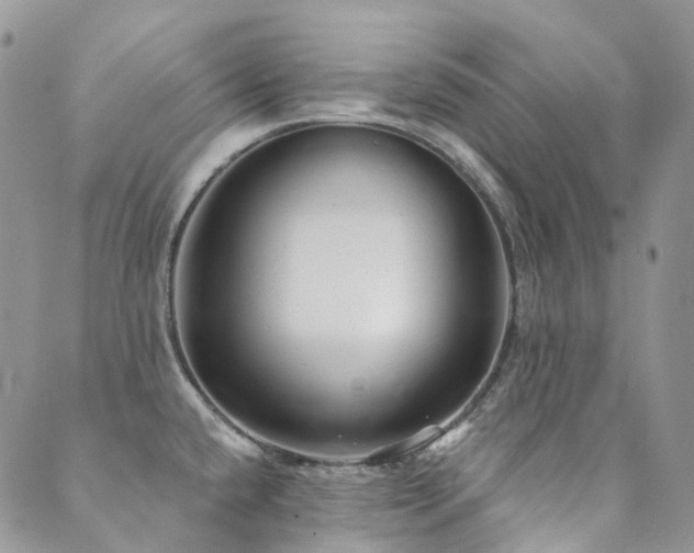 X0000089681432200706211213