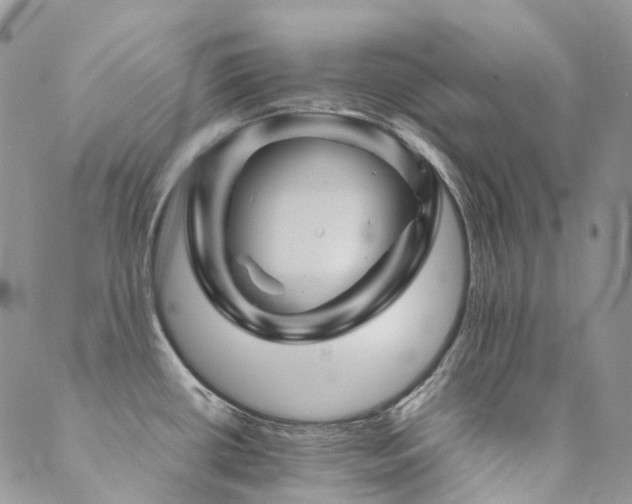 X0000089681434200706211213