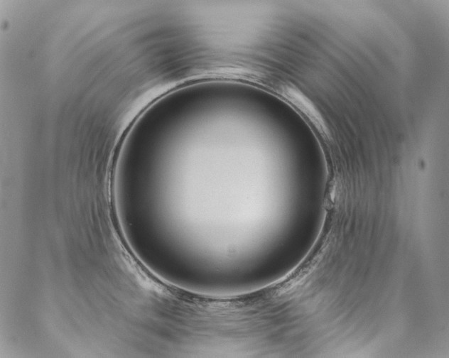X0000089681436200706211213