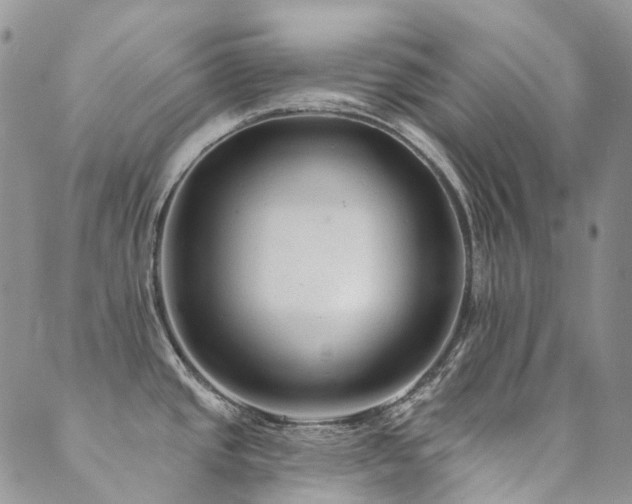 X0000089681437200706211213