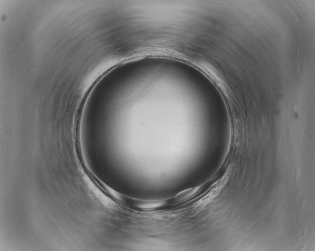 X0000089681438200706211213
