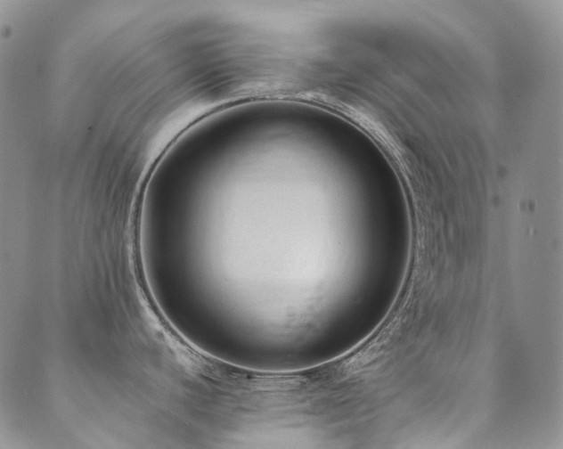 X0000089681440200706211213