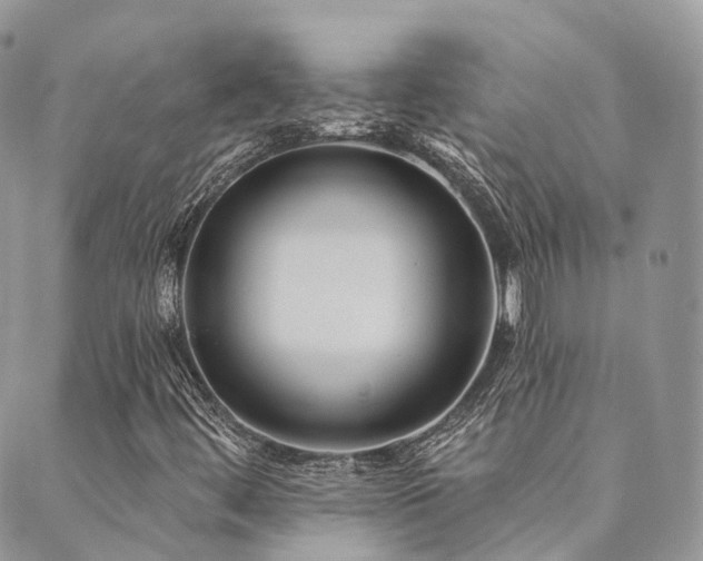 X0000089681444200706211213