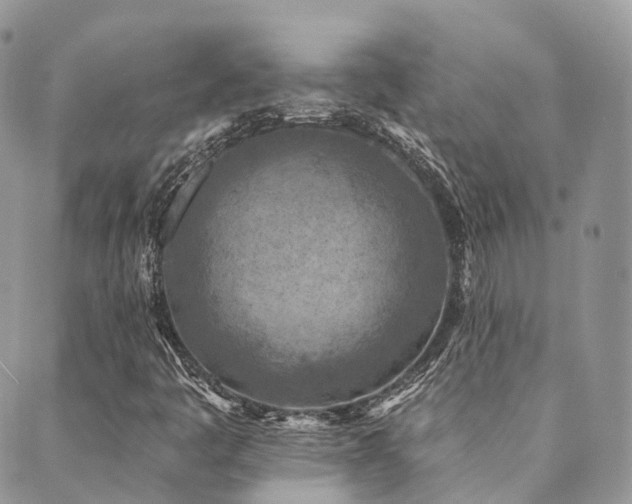 X0000089681445200706211213