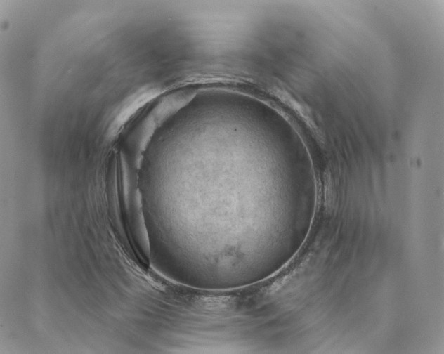 X0000089681453200706211212