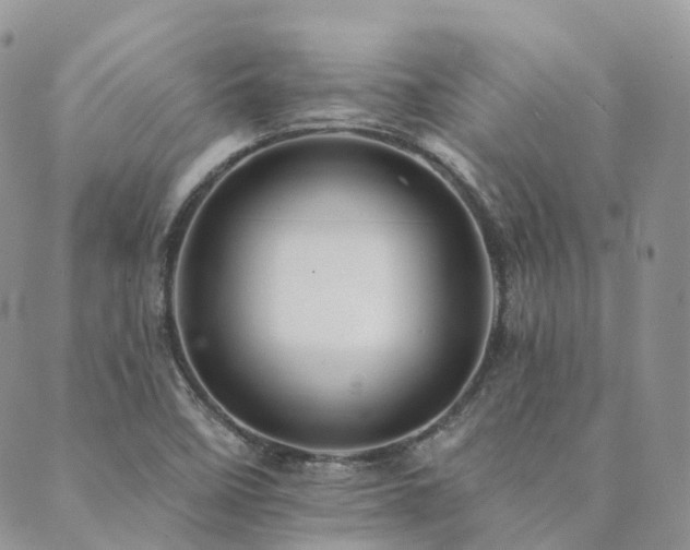 X0000089681458200706211212