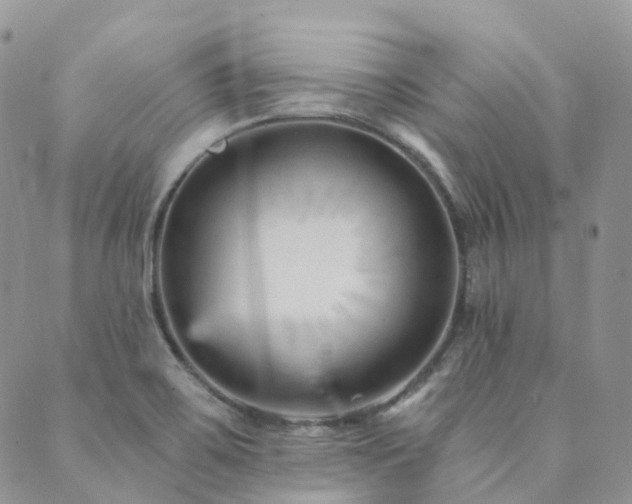 X0000089681467200706211212
