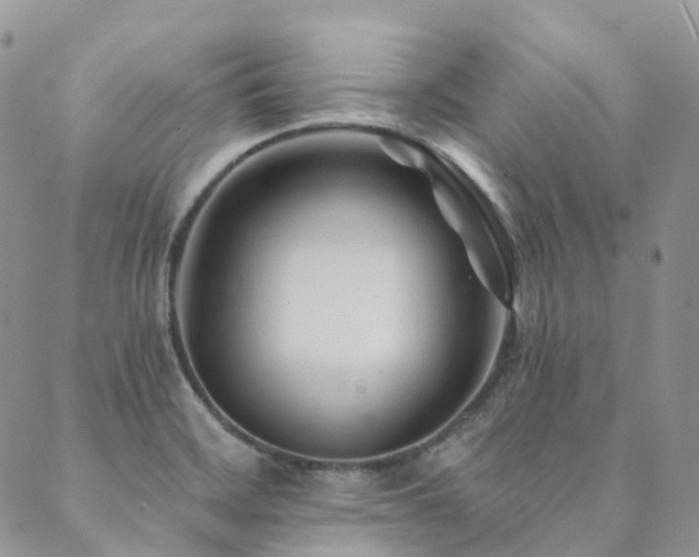 X0000089681468200706211212
