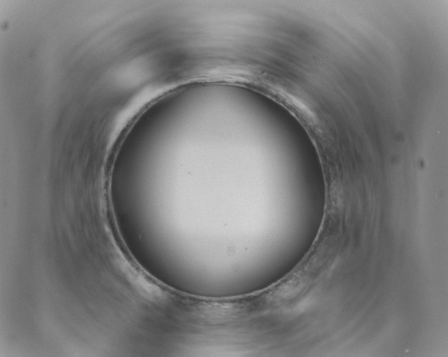 X0000089681470200706211212
