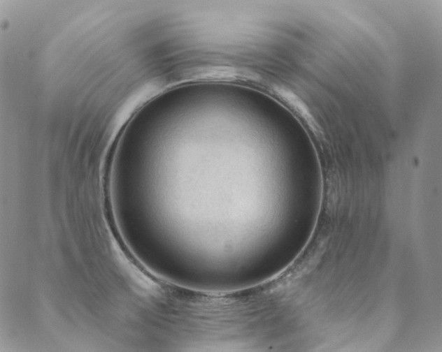 X0000089681475200706211212