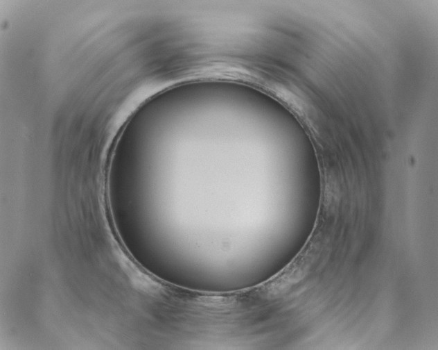 X0000089681478200706211212