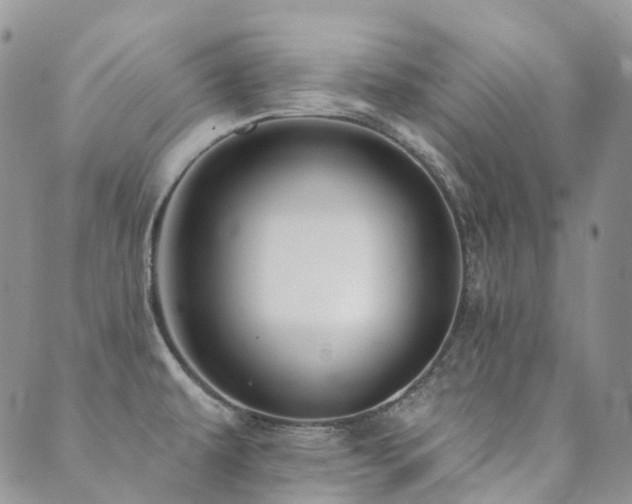 X0000089681479200706211212