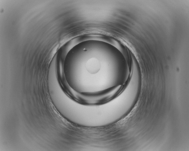 X0000089681481200706211212