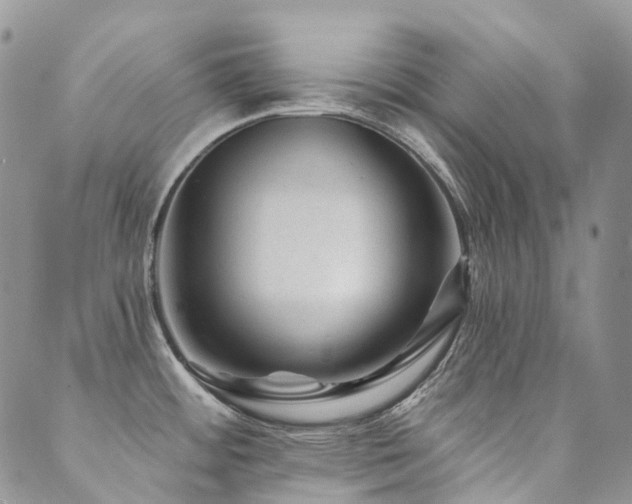 X0000089681484200706211212