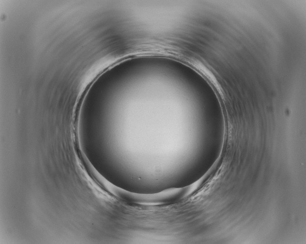 X0000089681485200706211212