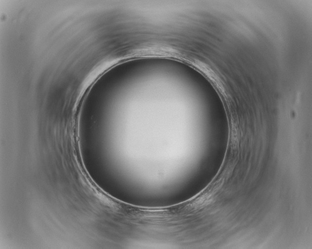X0000089681486200706211212