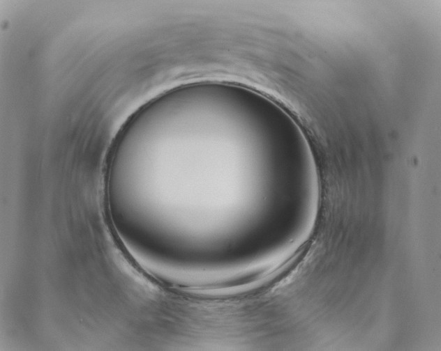X0000089681518200706211212