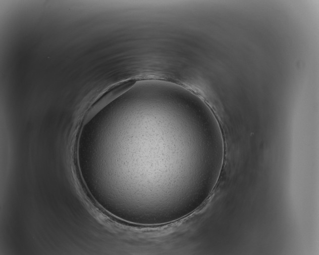 X0000089680001200706281406