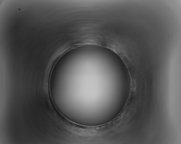 X0000089680004200706281406