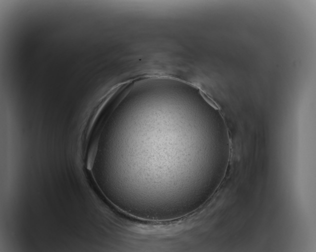 X0000089680005200706281406