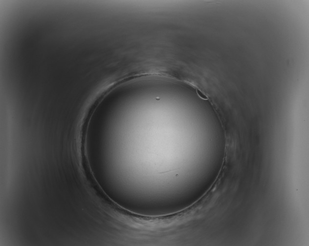 X0000089680006200706281406
