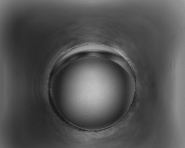 X0000089680007200706281406